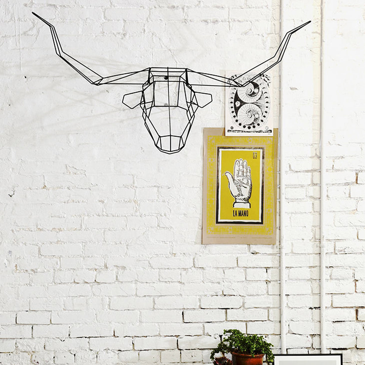 Long Horn by Bend, showing long horn in live shot.