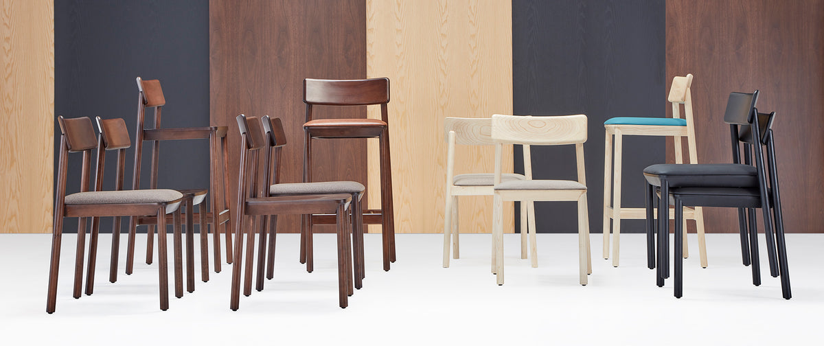 Mika Chair by B&T, showing mika chairs in live shot.