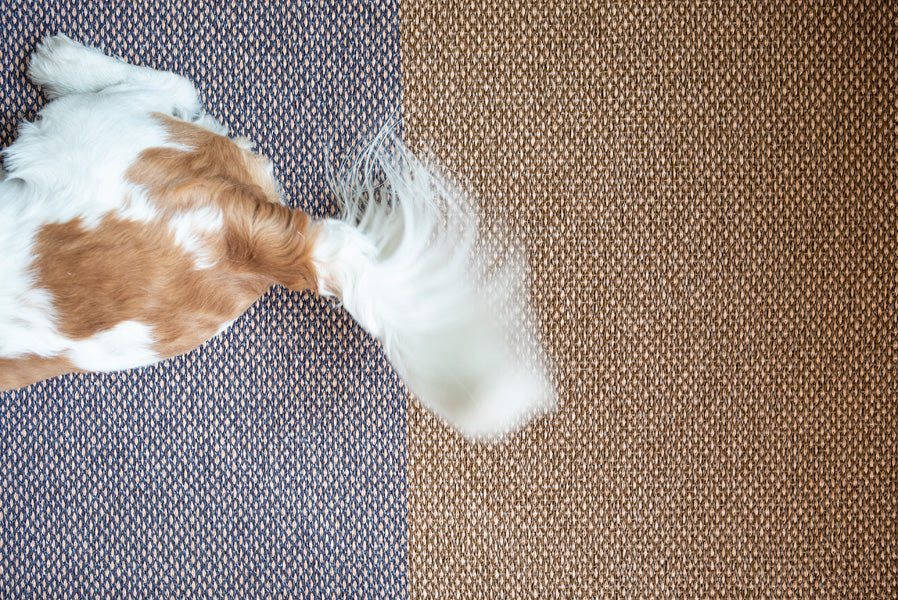 Moor Woven Plastic Rug by Brita, showing closeup view of moor woven plastic rug in live shot.