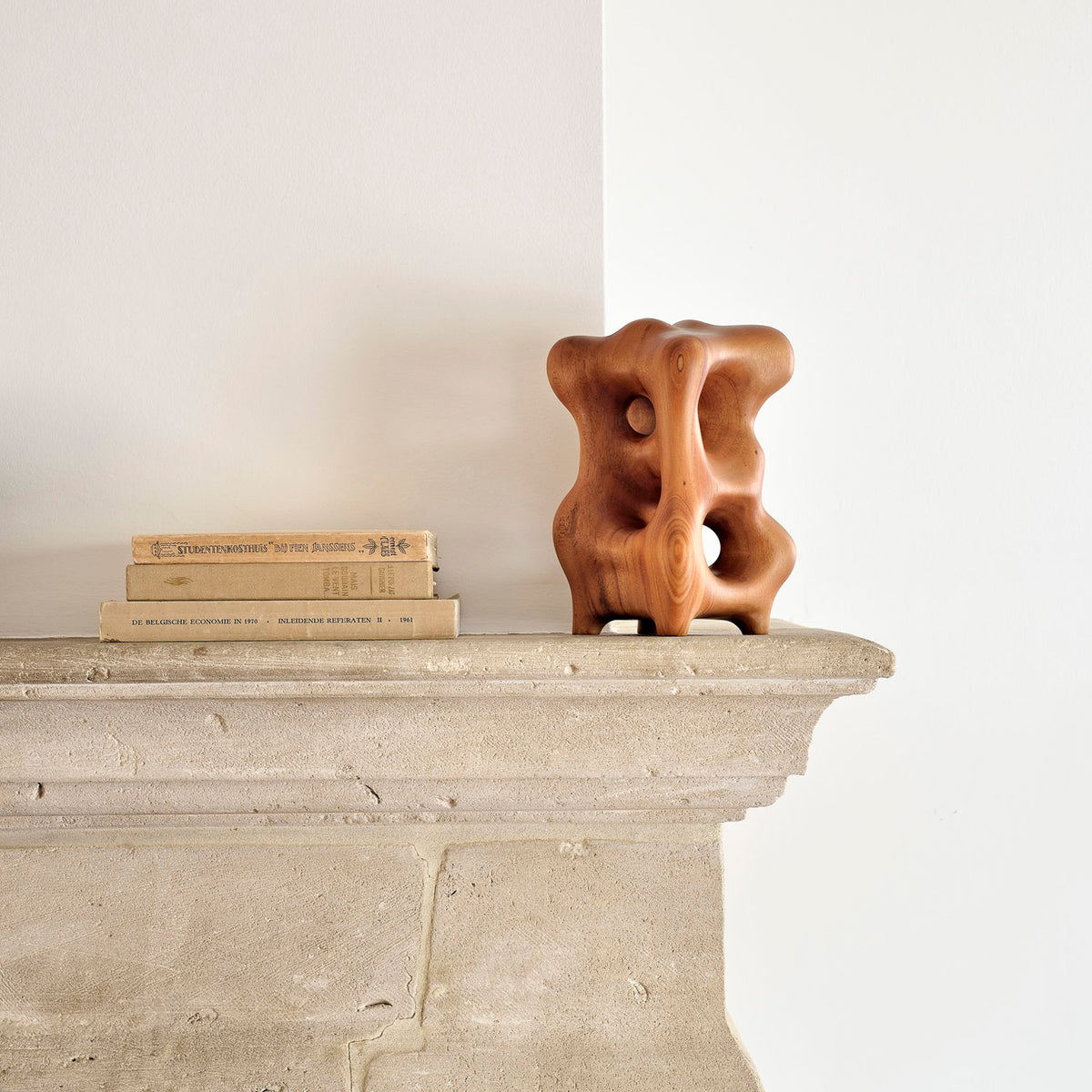 Natural Organic Sculpture by Ethnicraft, showing front view of sculpture in the live shot.