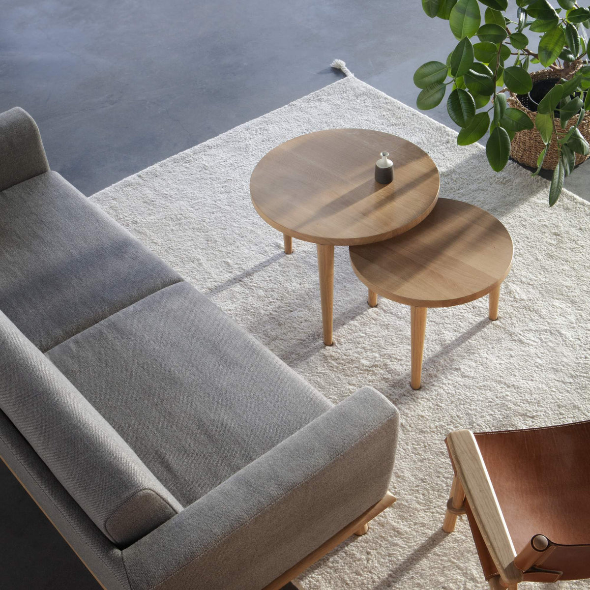 January Table by Nikari, showing january table in live shot.