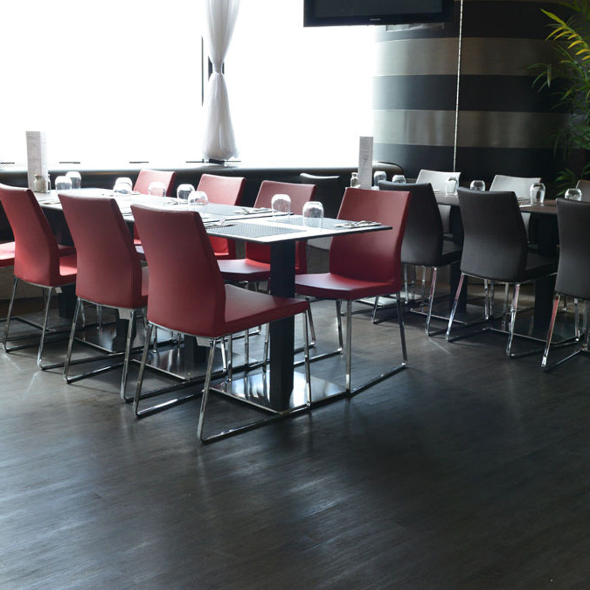 Pasha Sled Dining Chair by SohoConcept, showing sled dining chairs in live shot.