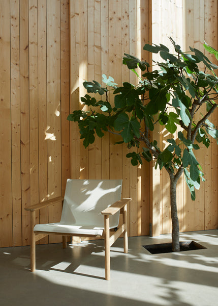 Pelago Lounge Chair by Skagerak, showing pelago lounge chair in live shot.