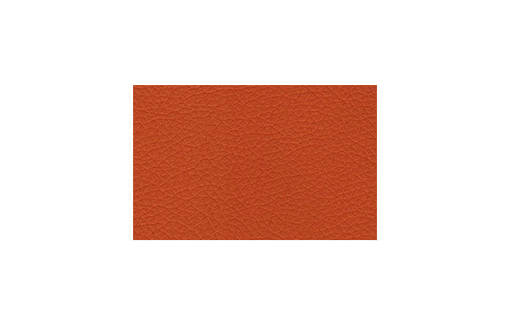 Orange PPM (Sample)