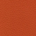 Orange PPM (Sample)