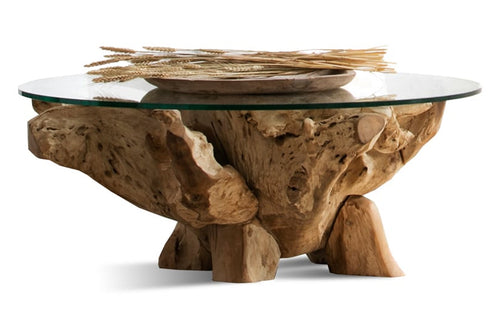 Pure Teak Root Coffee Table - Clear Glass/Natural Teak Wood.