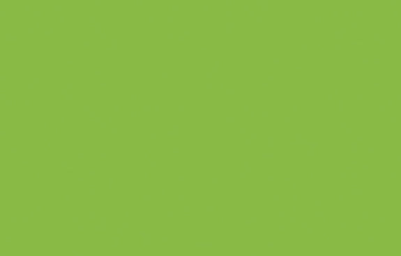 Scale Green Finish (Sample) by Scale 1:1.