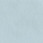 Sky Blue PPM (Sample)