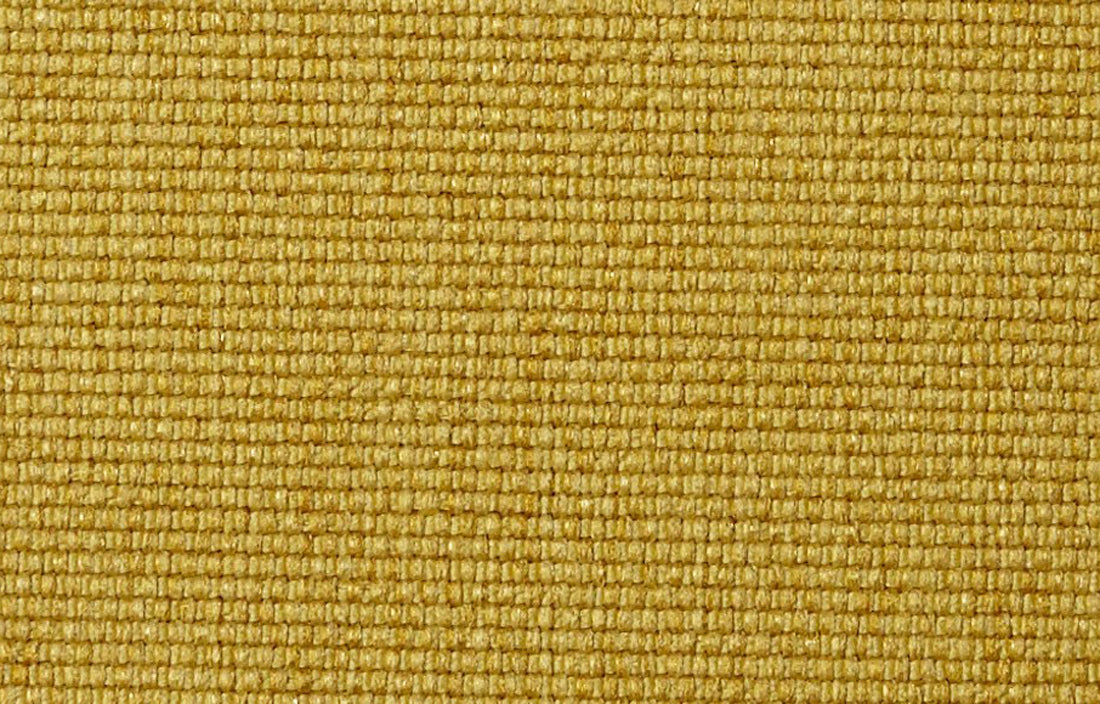Soft Mustard Flower
