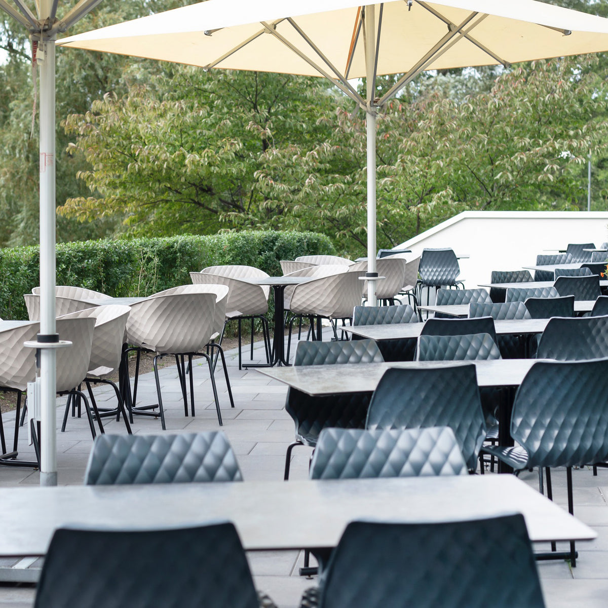 Uni Ka Chair by SohoConcept, showing uni ka chair in live shot.