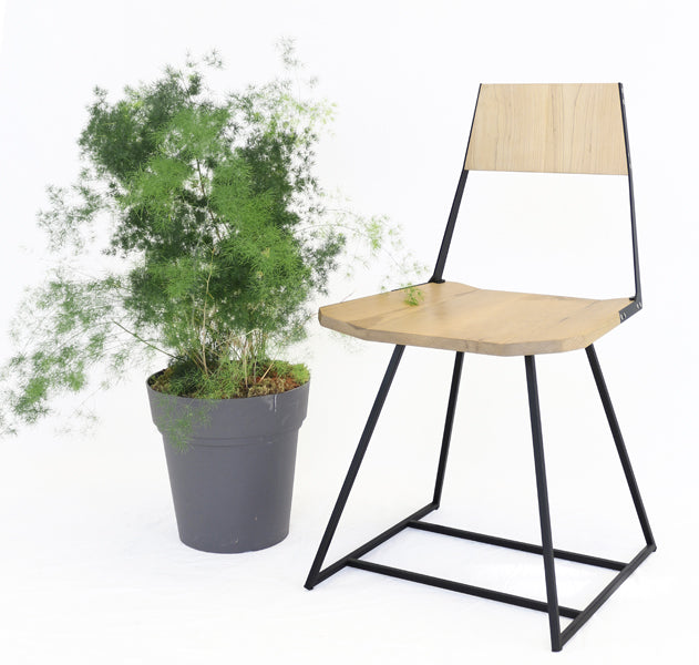 Clarkester Chair by Tronk Design, showing clarkester chair in maple wood, matte black powder coated steel with pot.