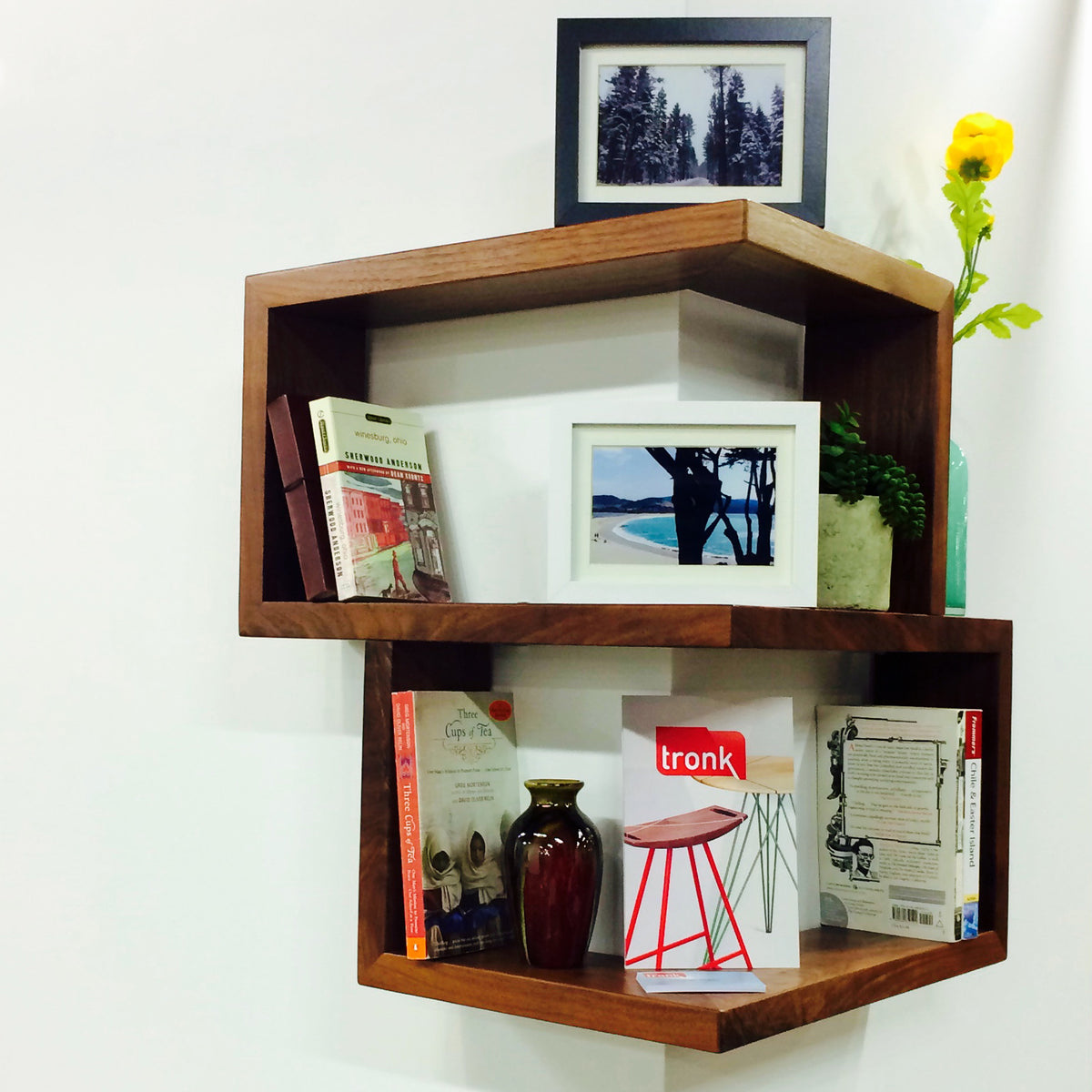Franklin Shelf by Tronk Design, showing franklin shelf in live shot.