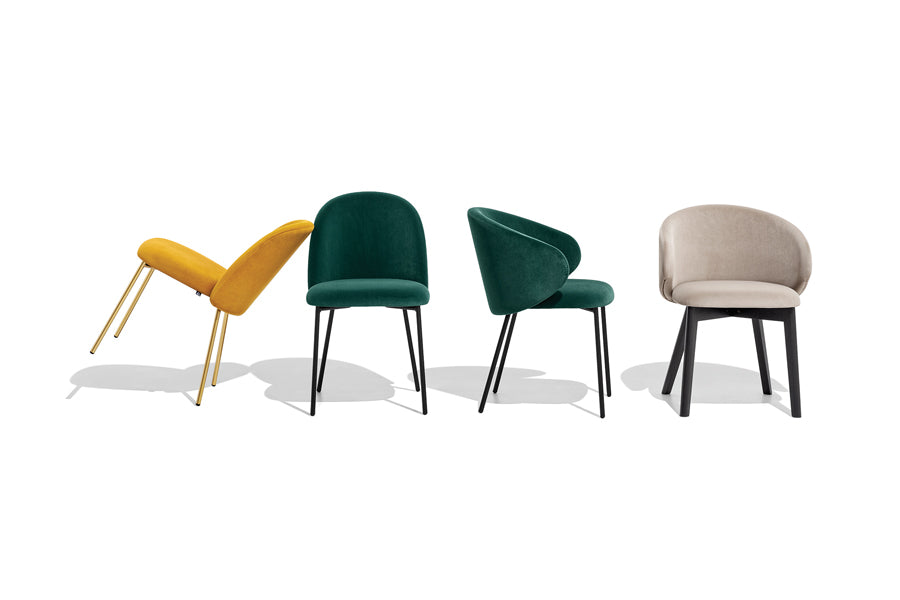 Tuka Wood Legs Armchair by Connubia, showing front view of tuka wood legs armchair in graphite beechwood frame.