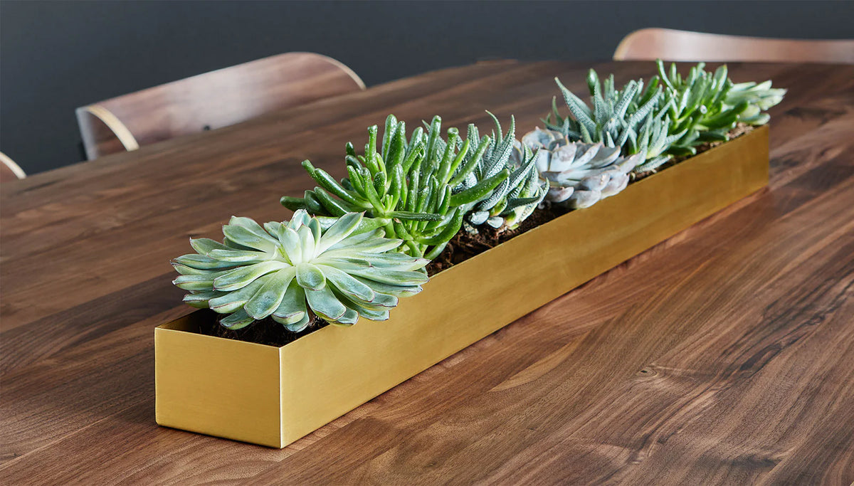 Vessel Planter by Gus Modern, showing vessel planter in live shot.