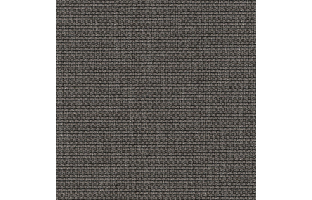 Wade Dark Grey Cotton (Sample)