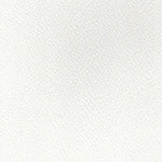 White Bonded Leather (Sample)